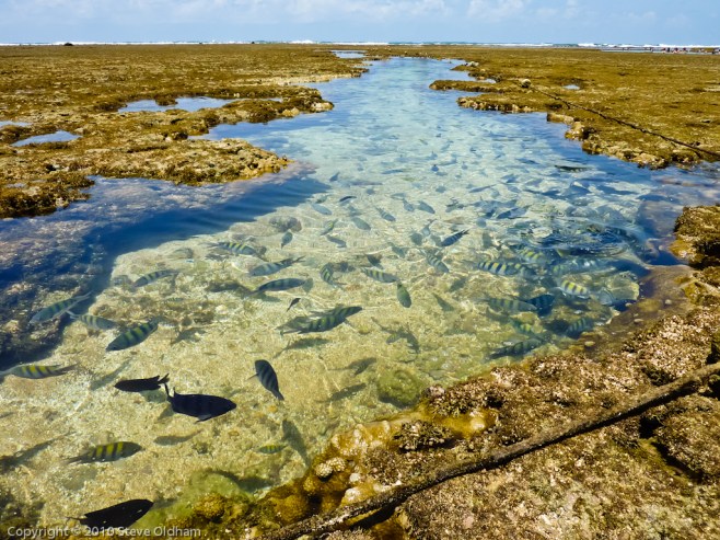 Porto do Galinhas, Pernambuco, Brazil