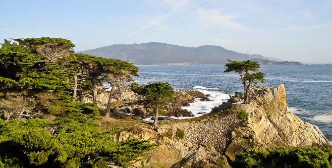 Lone Cypress, Pebble Beach